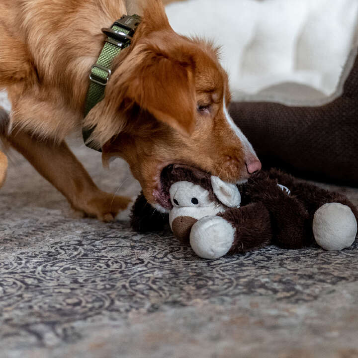 Nobby Plüschtier AFFE für Hunde